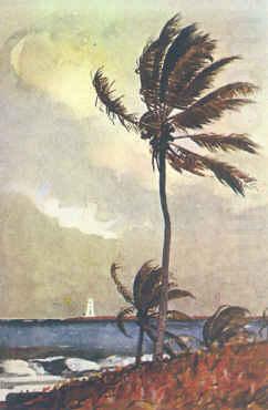 Winslow Homer Palm Tree, Nassau china oil painting image